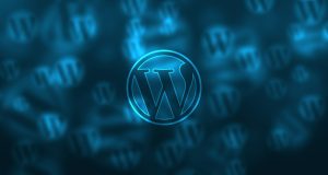 WordPress Care Plan