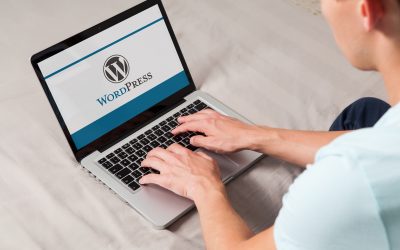 What are WordPress Pages